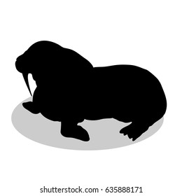 Walrus arctic black silhouette animal