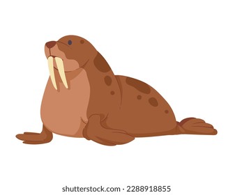 walrus artic animal creature character