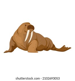 Walrus. Brown walrus lying turned head with large tusks. Icon, clipart for website, application about nature, north, animals, travel, ecology. Vector flat illustration, cartoon style.