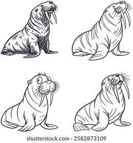 Walrus bundle line  art and illustrator eps