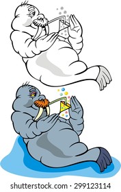 walrus cartoon