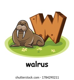 Walrus Cartoon 3D Wood Alphabet Animals Letter W