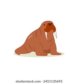 Walrus cartoon animal illustration White Background