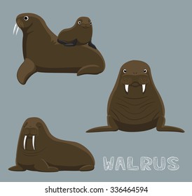 Walrus Cartoon Vector Illustration