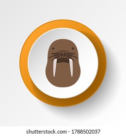 Walrus color icon. Elements of winter wonderland multi colored icons. Premium quality graphic design icon