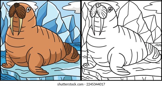  Walrus Coloring Page Colored Illustration