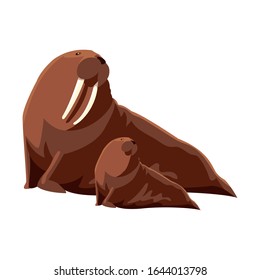 walrus with cub on a white background vector illustration design