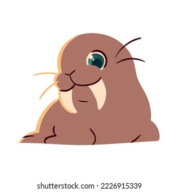 walrus cute animal icon isolated