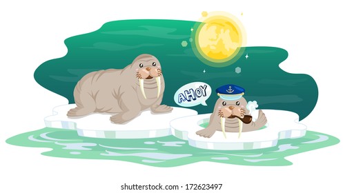 Walrus down the Moonlight