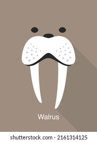 Walrus Face Icon, Vector Illustration