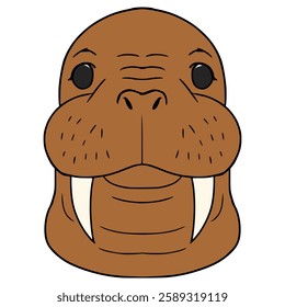 walrus face illustration hand drawn isolated vector