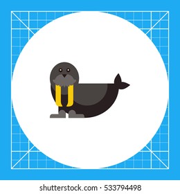 Walrus flat icon