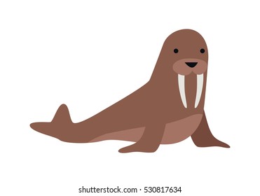 Walrus flat style vector. Wild herbivorous animal. North fauna species. For nature concepts, children's books illustrating, printing materials. Isolated on white background
