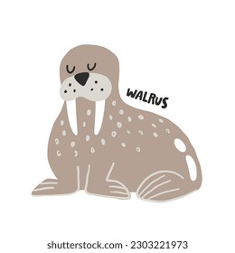 Walrus. Handgezeichnete Vektorgrafik-Illustration für Kinder. Meerestier
