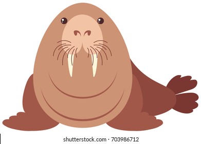 Walrus with happy face illustration