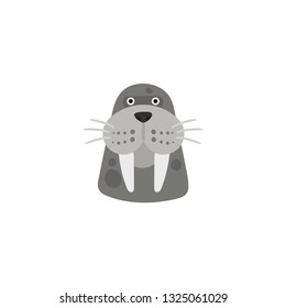 walrus head cartoon vector on a white background
