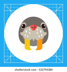 Walrus Head Icon