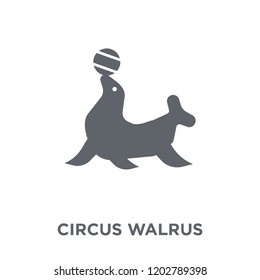 walrus icon. circus walrus design concept from Circus collection. Simple element vector illustration on white background.