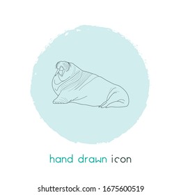 Walrus icon line element. Vector illustration of walrus icon line isolated on clean background for your web mobile app logo design.