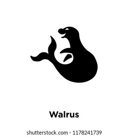 Walrus icon vector isolated on white background, logo concept of Walrus sign on transparent background, filled black symbol