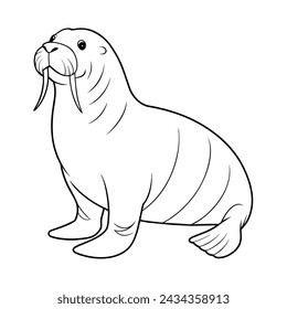 Walrus illustration coloring page for kids