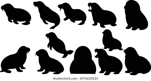 Walrus line art  designs, animal vector design