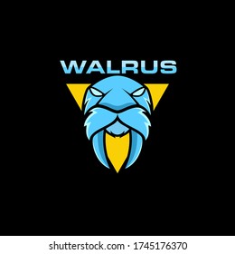 walrus mascot logo design vector