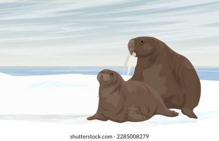 A walrus mother and her cub lie on the ocean shore. Wildlife of the Arctic. Realistic vector landscape