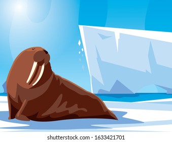 walrus at the north pole, arctic landscape vector illustration design