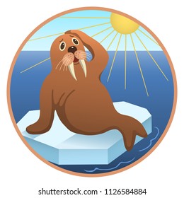 walrus on an ice flat illustration