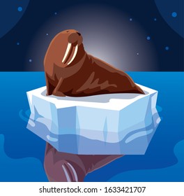 walrus on an ice floe drifting vector illustration design