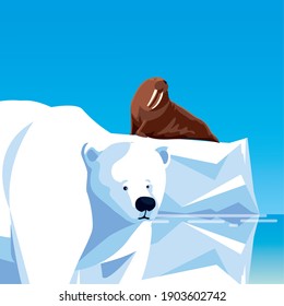 walrus on iceberg and polar bear water north pole animals vector illustration