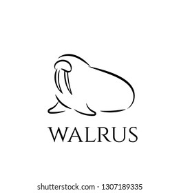 Walrus outline icon. Vector animal linear illustration.