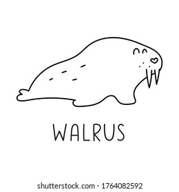 Walrus. Ilustración del vector de contorno sobre fondo blanco.