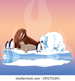 walrus penguins seal and polar bears on melted iceberg north pole vector illustration