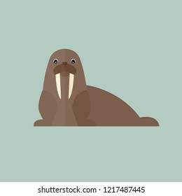walrus polar animal sea vector on blue background wildlife beast