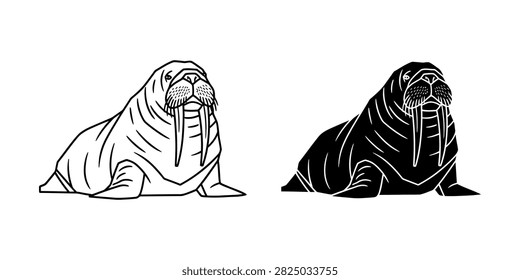 Walrus portrait icon vector illustration with wildlife illustration silhouette pinniped creature wilderness portrait