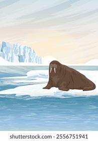 Walrus is resting by the sea. Wildlife of the Arctic. Realistic vector vertical landscape