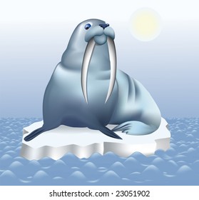 Walrus sailing on the sea on ice floe; vector illustration