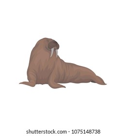 Walrus with Tusks Ocean Wildlife Decal Sticker 