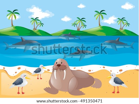 Similar – Image, Stock Photo Seagull on the beach