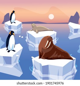 walrus seal and penguins standing on iceberg north pole vector illustration