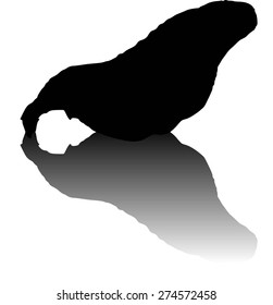 Walrus Silhouette