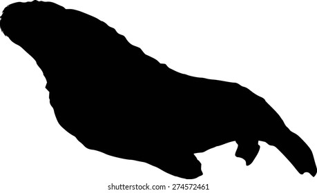 Walrus Silhouette