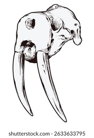 Walrus Skull Digital Hand drawn Line art Sketch Vector illustration black and white