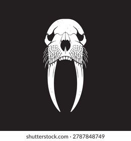 Walrus Skull with Long Tusks Vector Illustration