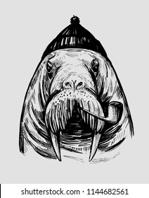 Walrus with smoking pipe. Hand drawn ink  illustration for print or tattoo