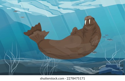 Walrus swims in sea water. Wildlife of the Arctic. Realistic vector landscape