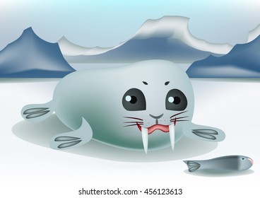 Walrus vector.