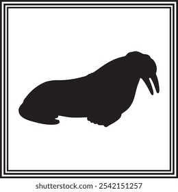 Walrus vector black silhouette. Ocean animal illustration